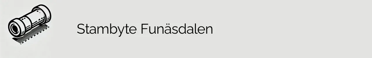 Stambyte Funäsdalen